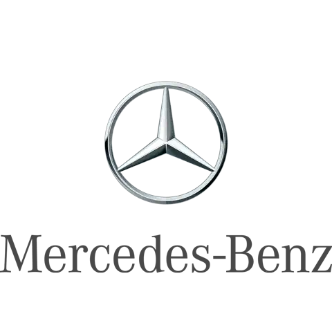 Mercedes Benz Intelisis DMS