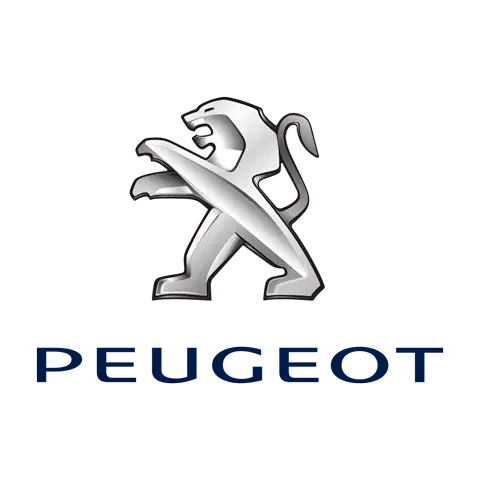 Peugeot Intelisis DMS