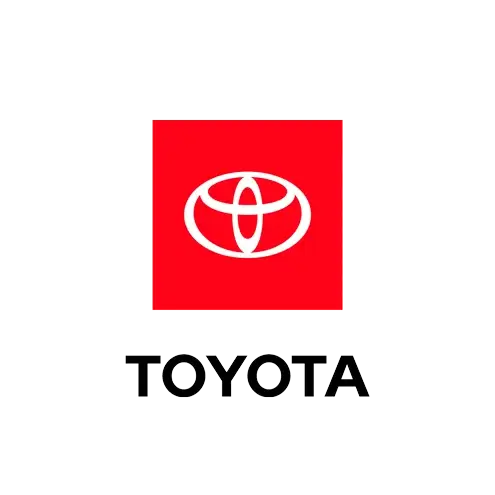 Toyota Intelisis DMS