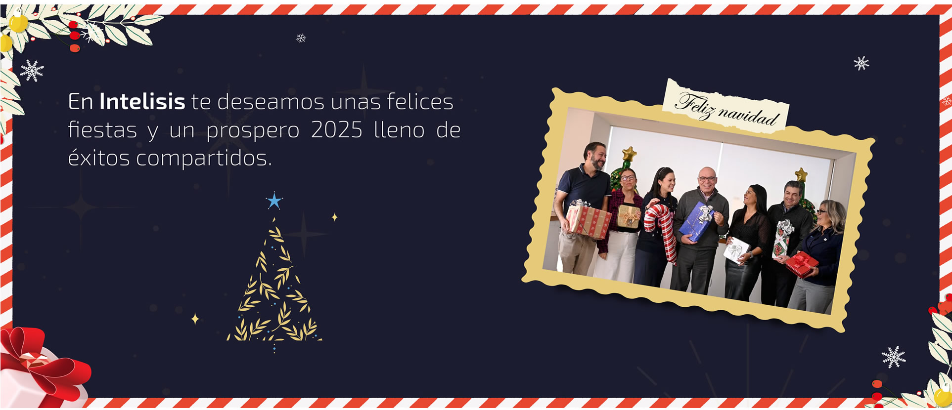 Intelisis te desea feliz navidad 2024